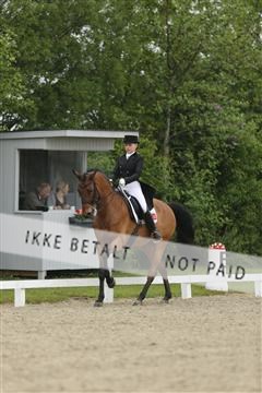 139835_sg_02_IMG_8713.JPG