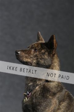 132082_le_ 01_IMG_0128.JPG