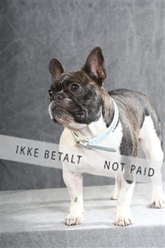 130054_le_ 01_0087.JPG