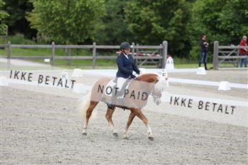 172030_mtp_01_3M5A2043.JPG