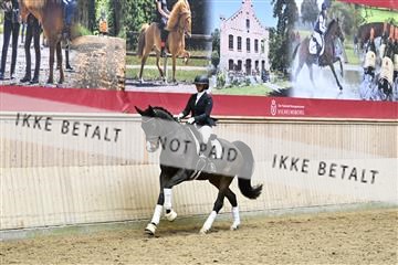 182241_kbb_01_Z095257.JPG