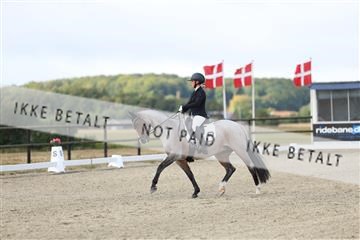 181894_mtp_04_R62_3325.JPG