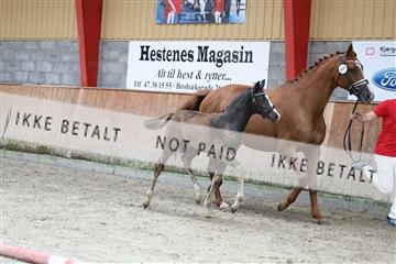 181868_mtp_03_R62_5777.JPG