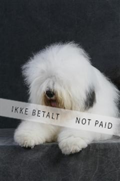 5493_sme _02__MG_9706.JPG