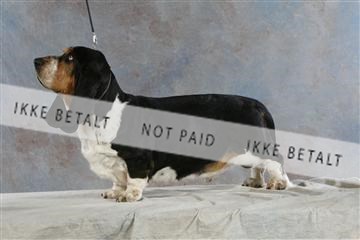 5493_sme _03__MG_9808.JPG