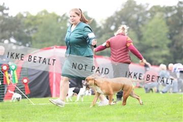 182009_rin_01_R62_5517.JPG