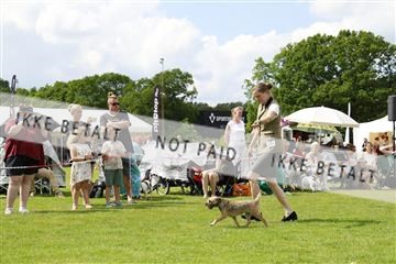 181564_kar_01__62_6867.JPG