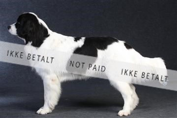 132082_le_ 01_IMG_0586.JPG