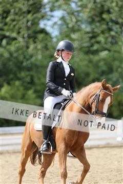 156196_nn_01_IMG_6438.JPG