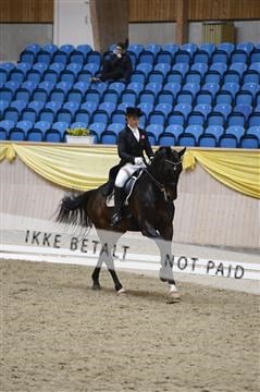 139403_ms_01__MS18570.JPG