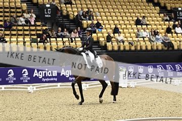 182194_kbb_03_Z099986.JPG