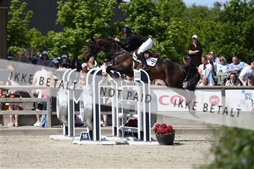 181436_avh_03_4513.JPG