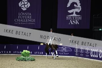 182194_mlm_01_R62_0130.JPG