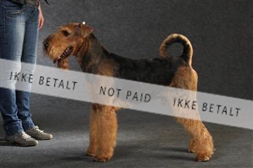 132082_le_ 01_IMG_0446.JPG