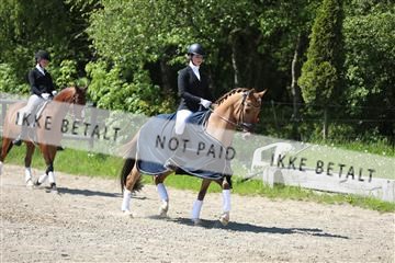 168732_mtp_01_3M5A6884.JPG