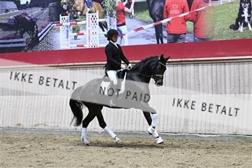 182241_kbb_01_Z093130.JPG