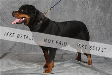 130054_le_ 03_0105.JPG