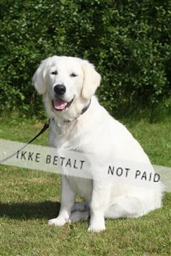 130370_se_03_IMG_6930.JPG