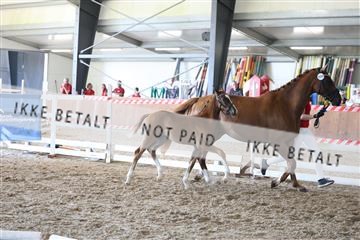 181756_mtp_03_R62_2459.JPG