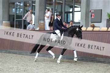 181852_mtp_05_R62_3331.JPG