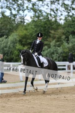 156196_nn_01_IMG_5929.JPG