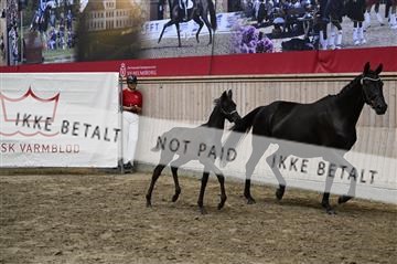 181754_kbb_01_Z093477.JPG