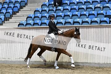 182241_kbb_01_Z093126.JPG