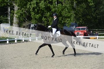 139898_ms_02__MS28800.JPG