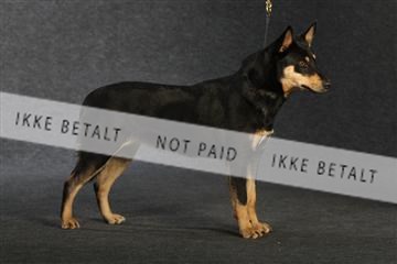 132082_le_ 01_IMG_0730.JPG