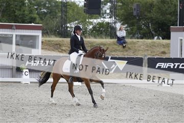 166078_rhj_01__J7R3496.JPG