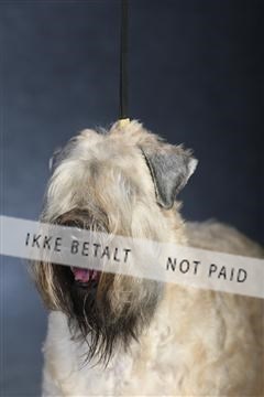 132082_le_ 01_IMG_1030.JPG