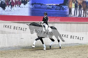 182241_kbb_01_Z093385.JPG
