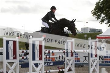 152762_nn _05_IMG_7668.JPG