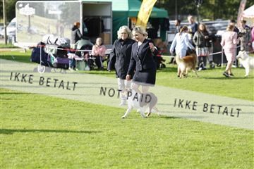 182009_kar_01__62_7320.JPG