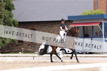 181698_BC_01_00254.JPG