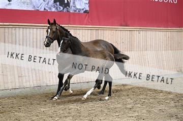 181754_kbb_01_Z094109.JPG