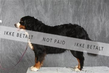 130054_le_ 03_0333.JPG