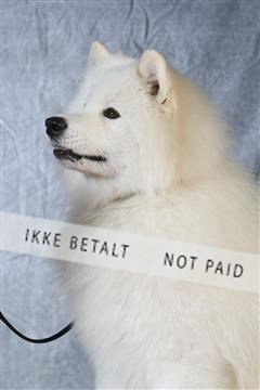 6068_ma_04_IMG_5023.JPG