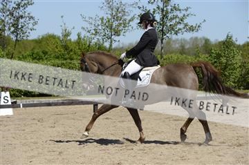 139815_ms_01__MS27318.JPG