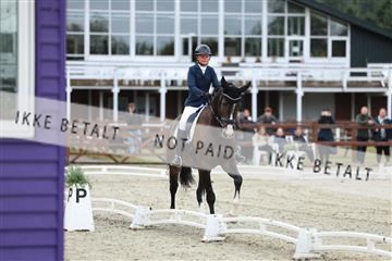 181923_mtp_02_R62_7115.JPG