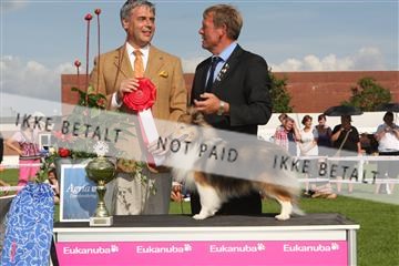130370_se_03_IMG_7910.JPG