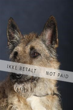 132082_le_ 01_IMG_0910.JPG