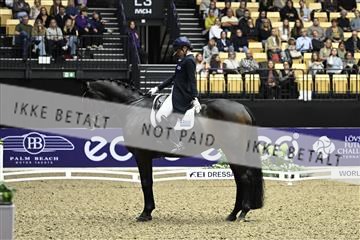 182194_kbb_03_Z091770.JPG
