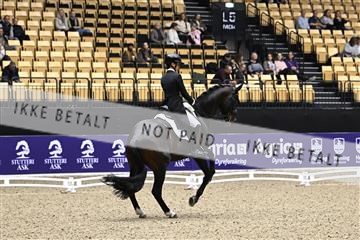 182194_kbb_03_Z099840.JPG