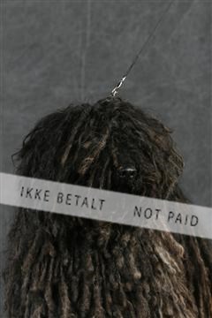 5493_sme _02__MG_9671.JPG