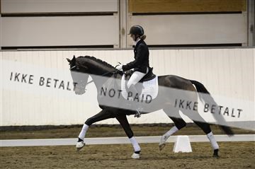 141472_abo_01__AB15895.JPG