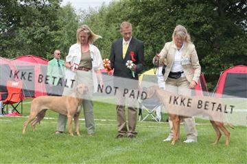 130370_tl_01_IMG_7152.JPG