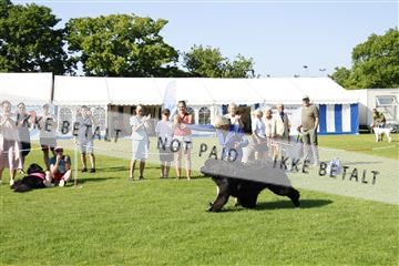181564_kar_01__62_8352.JPG