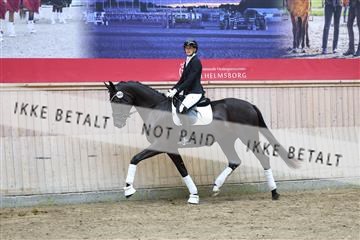 181887_mtp_04_R62_9163.JPG