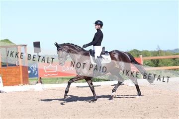 181449_bc_01R62_6155.JPG